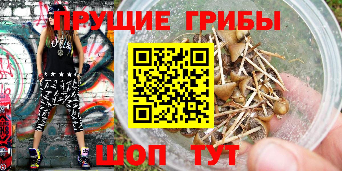 Псилоцибиновые грибы прущие грибы  наркошоп  Азов  Вход с VPN 