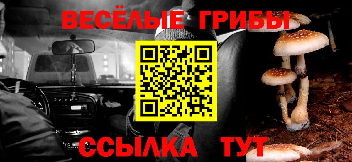 Галлюциногенные грибы MAGIC MUSHROOMS Азов